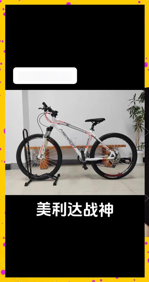 美利达战神好还是挑战者,公爵好