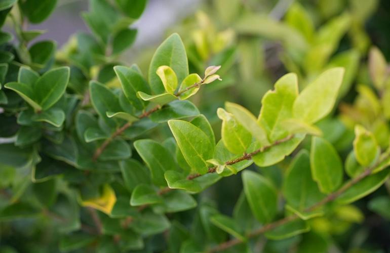 索尼单反镜头怎么拆