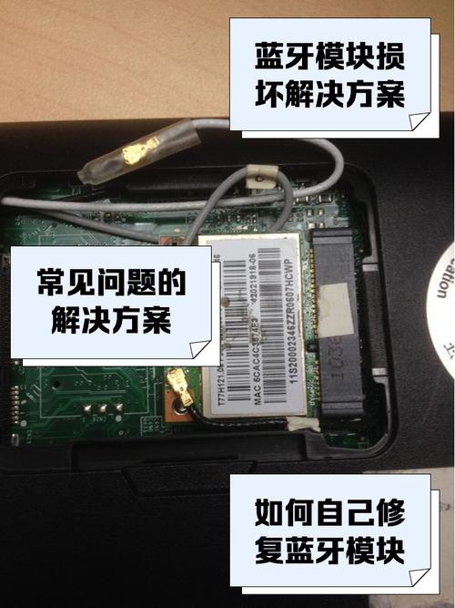 东芝笔记本蓝牙模块在哪里