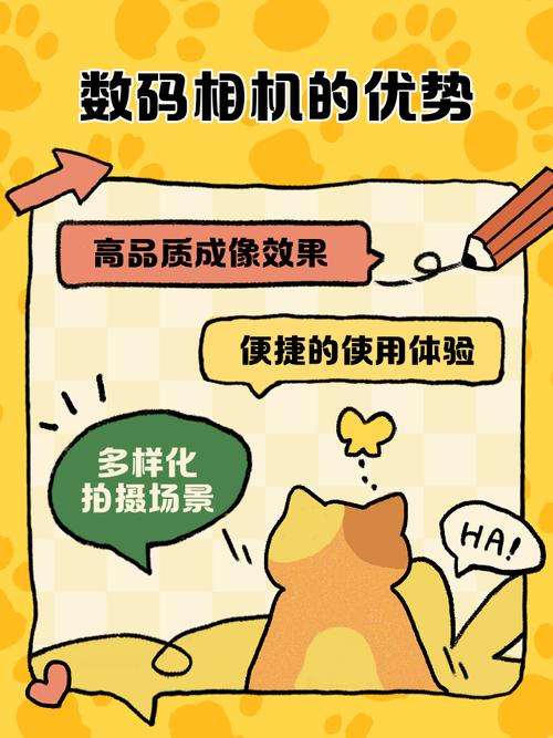 数码单反比普通的相机有什么优点?