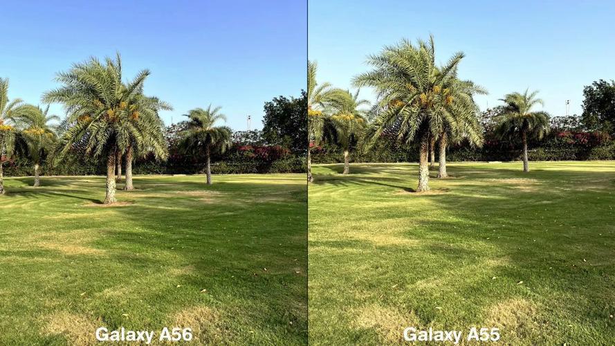 三星a56对比三星24拍照哪个好