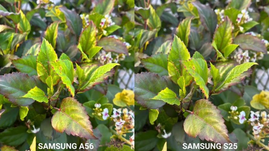 三星s24是高端机吗